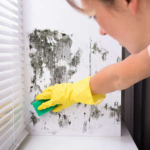 woman cleaning mold off window sill